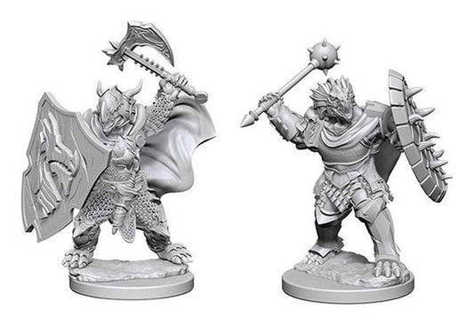 D&D Figure: Dragonborn Male Paladin