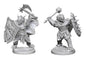 D&D Figure: Dragonborn Male Paladin