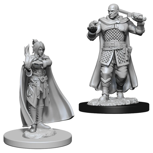 D&D Figure: Minsc & Delina