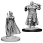 D&D Figure: Minsc & Delina