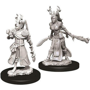 D&D Figure: Female Human Druid