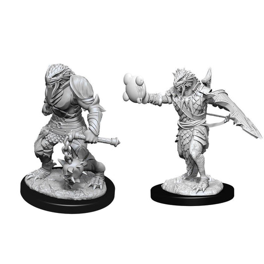 D&D Figure: Male Dragonborn Paladin
