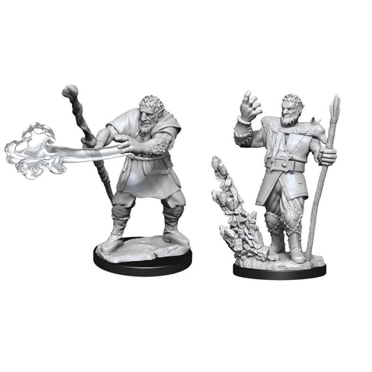 D&D Figure: Male Firbolg Druid