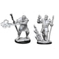 D&D Figure: Male Firbolg Druid