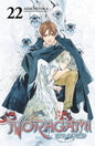 Noragami Stray God, Vol 22
