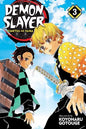 Demon Slayer: Kimetsu no Yaiba Vol. 03