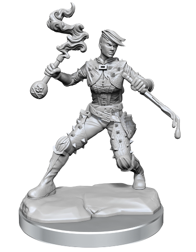D&D Frameworks: Human Rogue Female