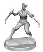 D&D Frameworks: Human Rogue Female