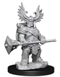 D&D Frameworks: Dwarf Barbarian Female
