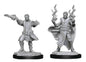 D&D Figure: Male Human Sorcerer