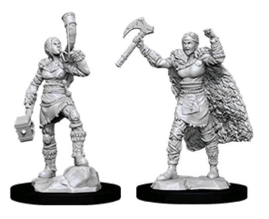 D&D Figure: Female Human Barbarian
