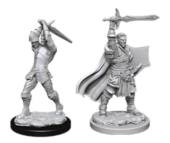 D&D Figure: Male Human Paladin