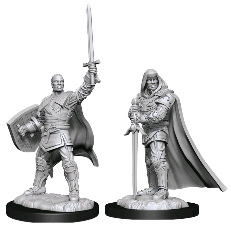 D&D Figure: Human Paladin Male