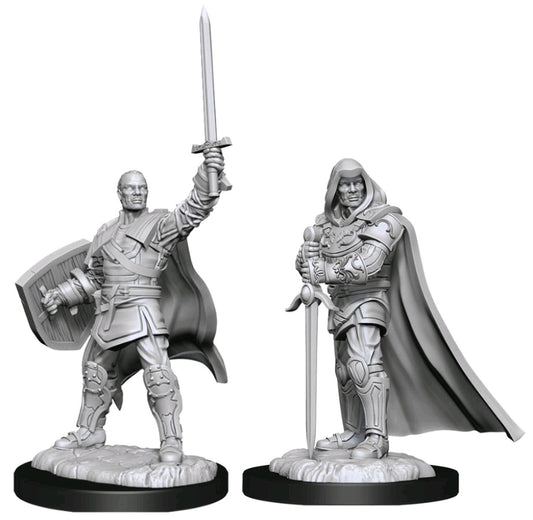 D&D Figure: Human Paladin Male