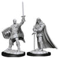 D&D Figure: Human Paladin Male