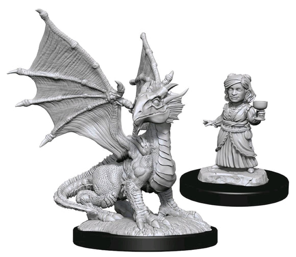 D&D Figure: Silver Dragon Wyrmling & Hal