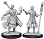 D&D Figure: Half Elf Wizard Male