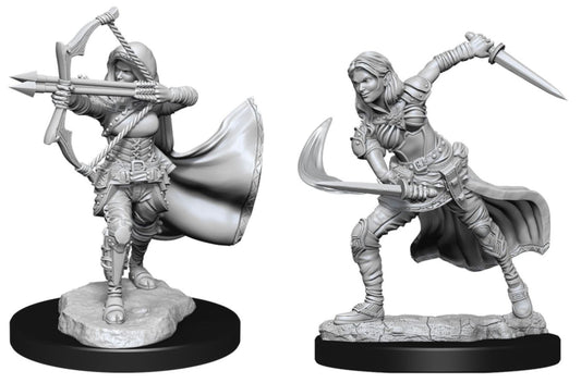 D&D Figure: Air Genasi Female