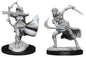 D&D Figure: Air Genasi Female