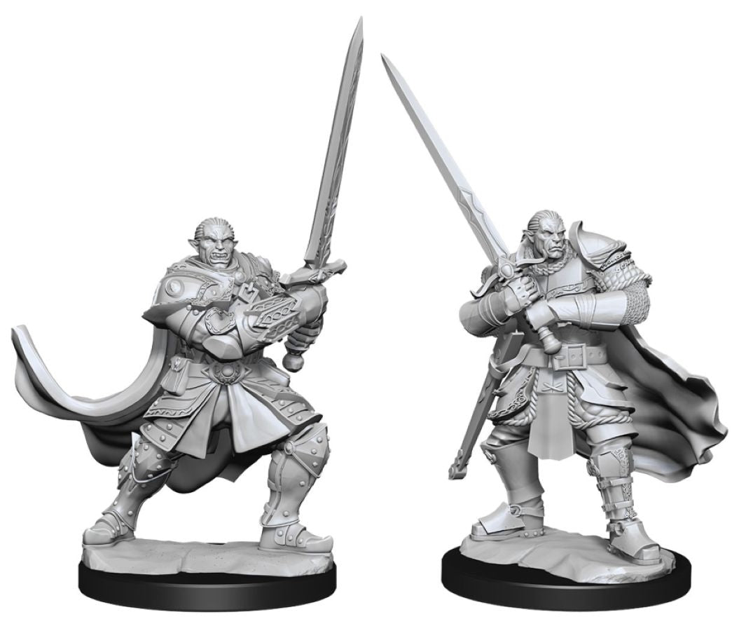 D&D Figure: Half-Orc Paladin Male