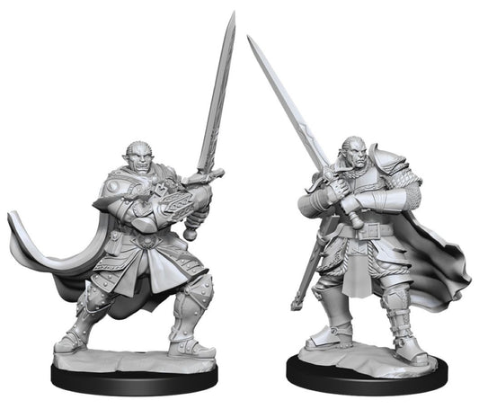 D&D Figure: Half-Orc Paladin Male