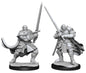 D&D Figure: Half-Orc Paladin Male