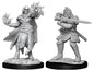 D&D Figure: Hobgoblin Fighter M Wizard F