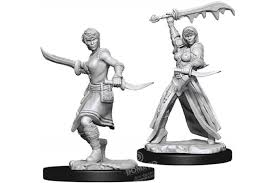 D&D Figure: Female Human Rogue