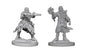 Pathfinder Figure: Human Male Wizard