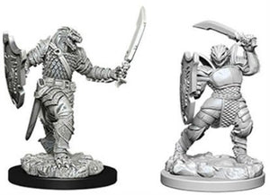 D&D Figure: Dragonborn Female Paladin