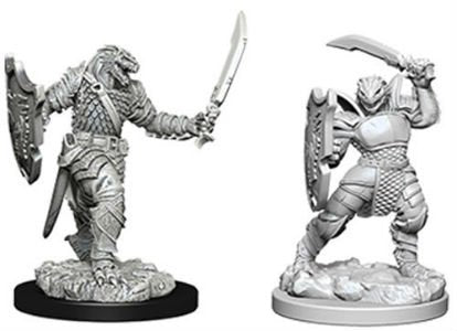 D&D Figure: Dragonborn Female Paladin