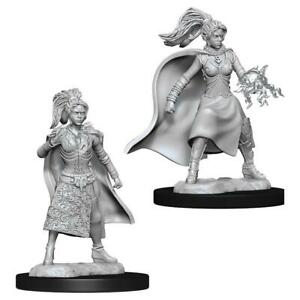 D&D Figure: Female Human Sorcerer