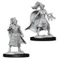 D&D Figure: Female Human Sorcerer
