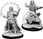 D&D Figure: Male Human Wizard