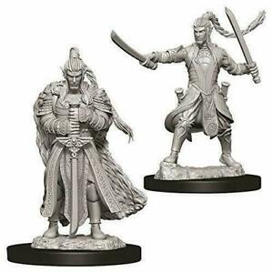 D&D Figure: Male Elf Paladin