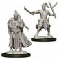 D&D Figure: Male Elf Paladin