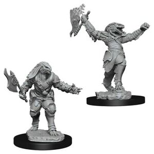 D&D Figure: Female Dragonborn Fighter