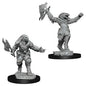 D&D Figure: Female Dragonborn Fighter