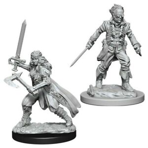 D&D Figure: Vampire Hunters