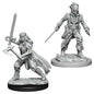 D&D Figure: Vampire Hunters