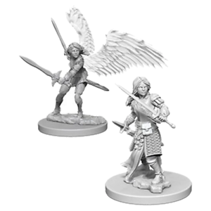 D&D Figure: Aasimar Female Paladin