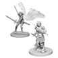 D&D Figure: Aasimar Female Paladin