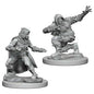Pathfinder Figure: Human Male Rogue