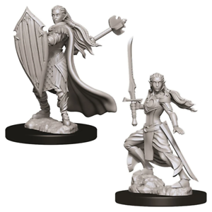 D&D Figure: Female Elf Paladin