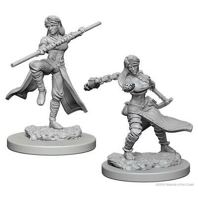 D&D Figure: Human Female Monk