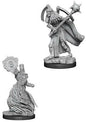 Pathfinder Figure: Liches