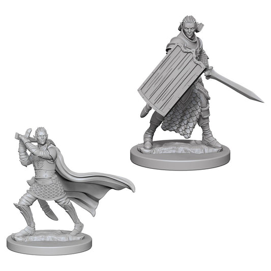 Pathfinder Figure: Elf Male Paladin