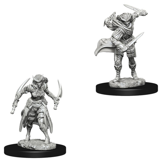 D&D Figure: Tiefling Female Rogue