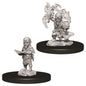 Pathfinder Figure: Male Gnome Sorcerer