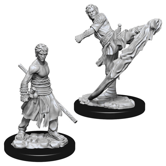 D&D Figure: Male Half-Elf Monk